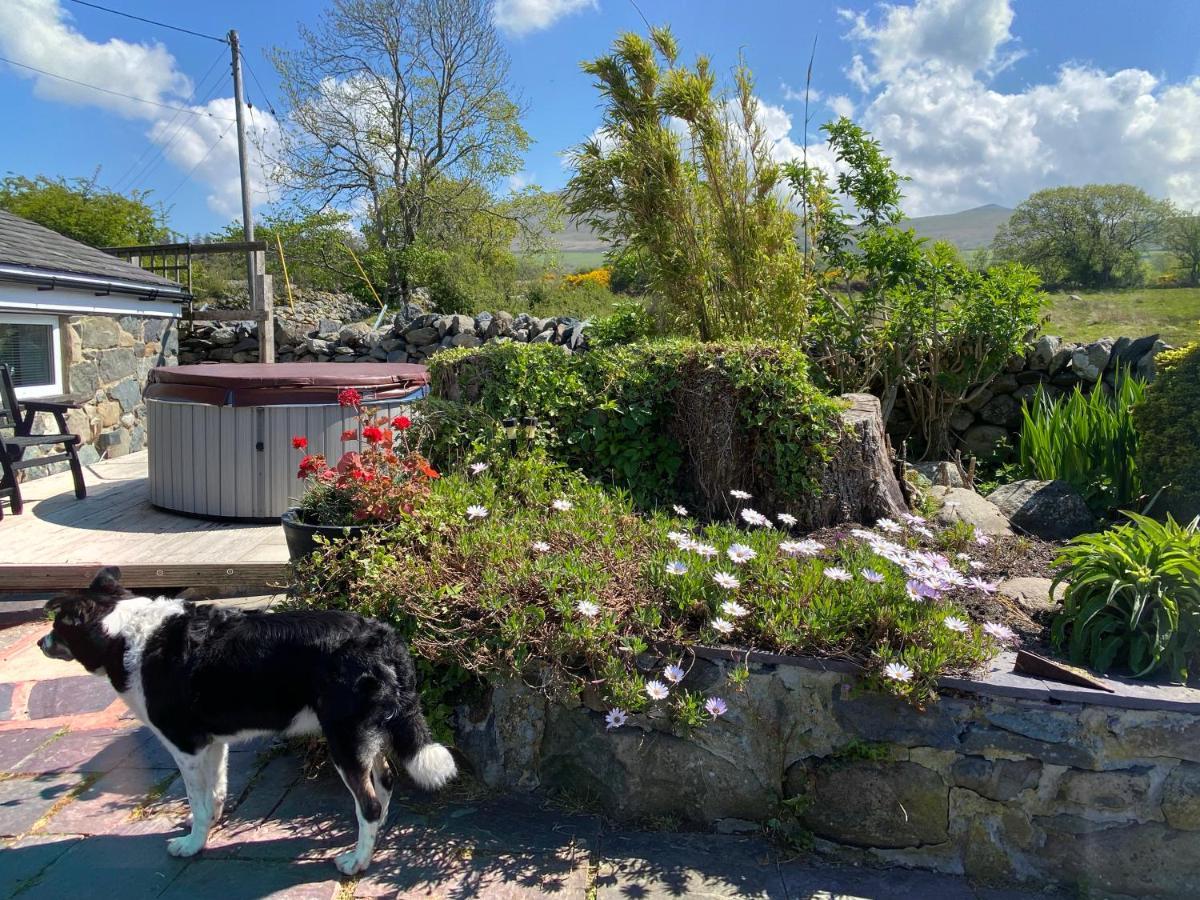 MountainStudios Snowdonia Beudy Bach Bangor  Exterior foto