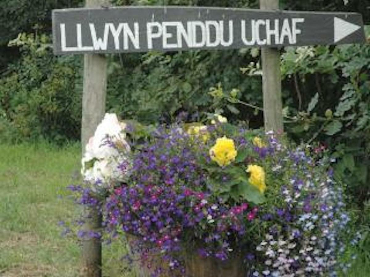 MountainStudios Snowdonia Beudy Bach Bangor  Exterior foto