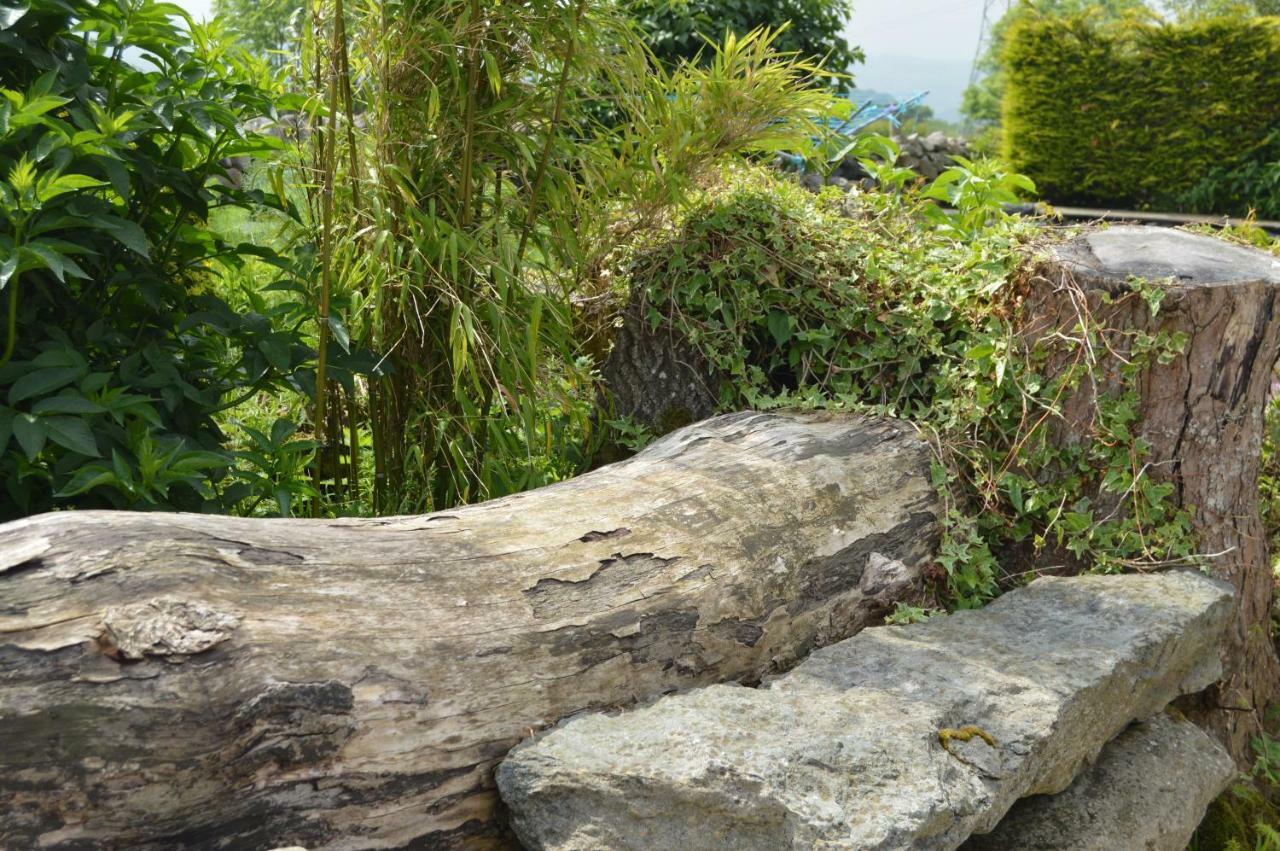 MountainStudios Snowdonia Beudy Bach Bangor  Exterior foto