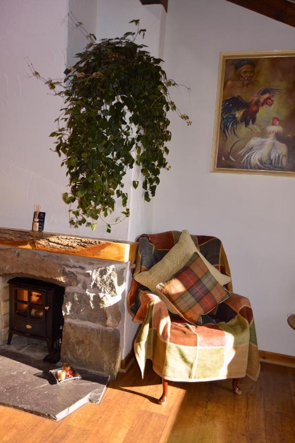 MountainStudios Snowdonia Beudy Bach Bangor  Exterior foto
